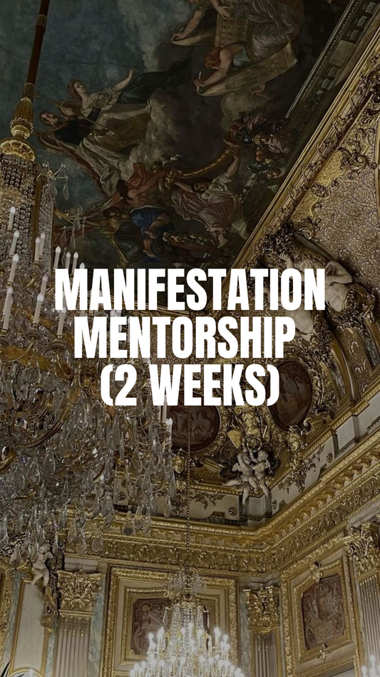 Manifestation Mentorship (2 Weeks)
